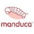 Manduca