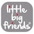 Little Big Friends