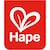 Hape Toys